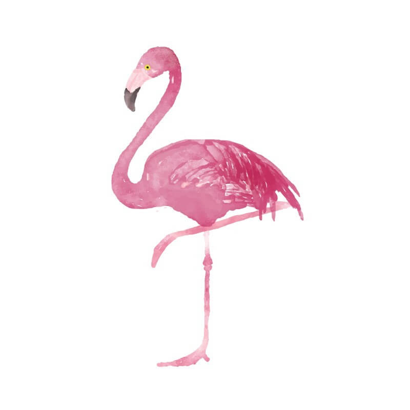  Flamingo