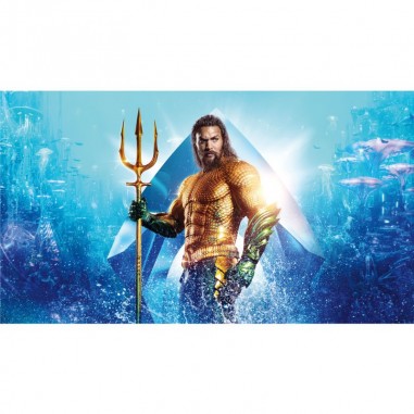 Πίνακας σε καμβά Aquaman