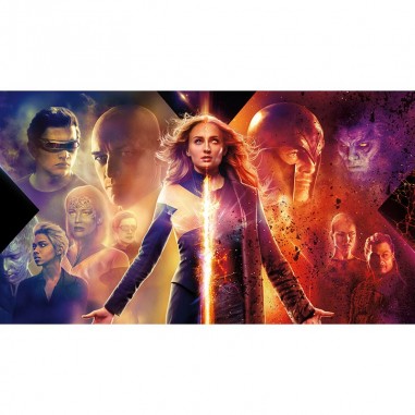 Πίνακας σε καμβά Dark Phoenix 2 