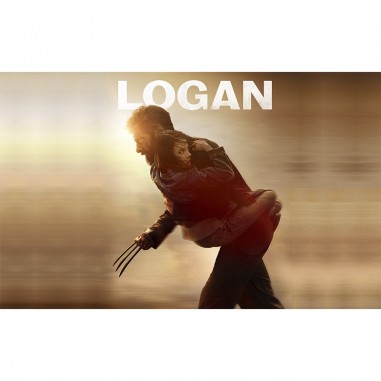 Πίνακας σε καμβά Logan 