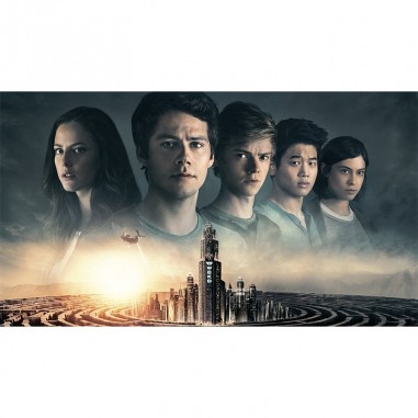 Πίνακας σε καμβά  Maze Runner- The Death Cure