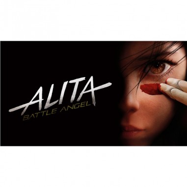 Πίνακας σε καμβά Ο Άγγελος της Μάχης-Alita The Battle Angel 2