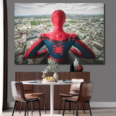 Πίνακας σε καμβά  Spider-Man 