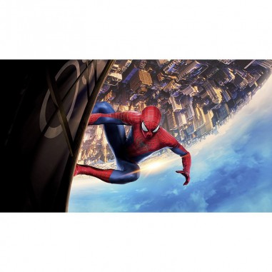 Πίνακας σε καμβά The Amazing Spider-Man 2