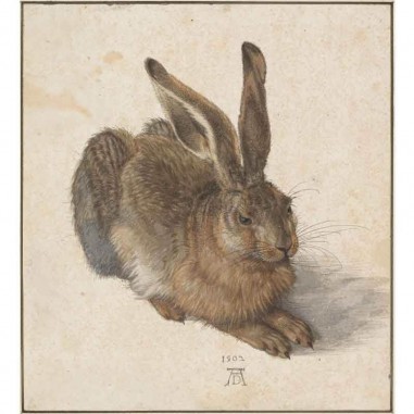 Πίνακας σε καμβά Albrecht Dürer - The Hare - 1502