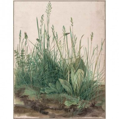 Πίνακας σε καμβά Albrecht Dürer - The Large Piece of Turf - 1503