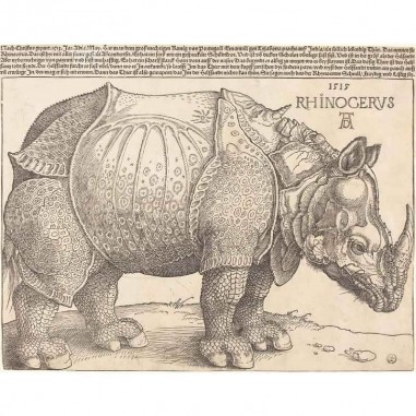 Πίνακας σε καμβά Albrecht Dürer - The Rhinoceros