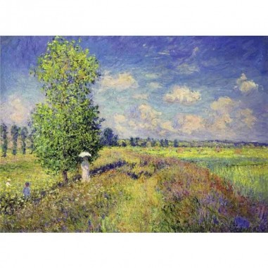 Πίνακας σε καμβά Claude Monet - Poppy Field at Summer (1875)