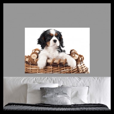 Πίνακας σε καμβά Dog in the basket