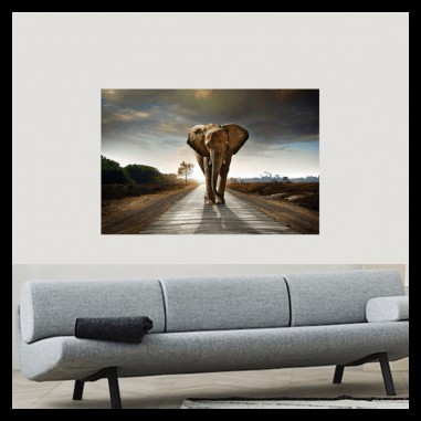 Πίνακας σε καμβά elephant on the road