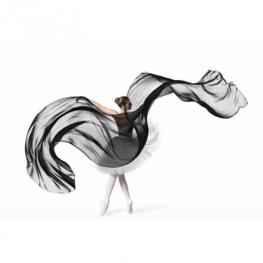 Πίνακας σε καμβά Γυναίκα που χορεύει