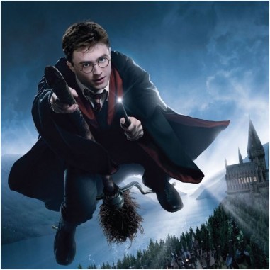 Πίνακας σε καμβά Harry Potter Quidditch