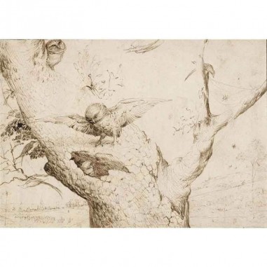 Πίνακας σε καμβά Hieronymus Bosch - The Owl's Nest