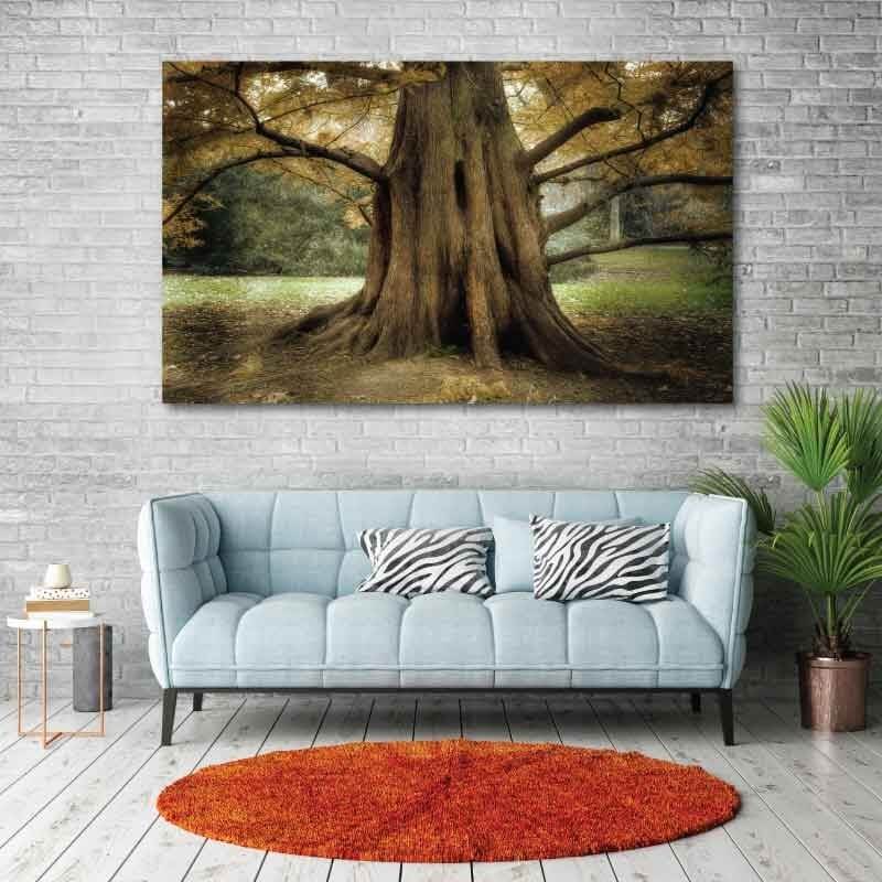 Πίνακας σε καμβά Κορμός Δέντρου
