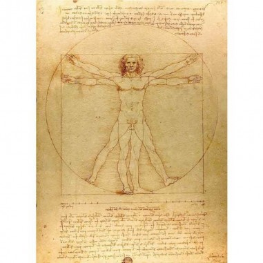 Πίνακας σε καμβά Leonardo Da Vinci - The Vitruvian Man