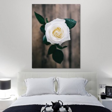 Πίνακας σε καμβά Λευκό Τριαντάφυλλο
