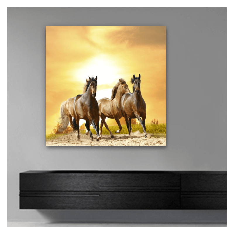 Πίνακας σε καμβά με άλογα