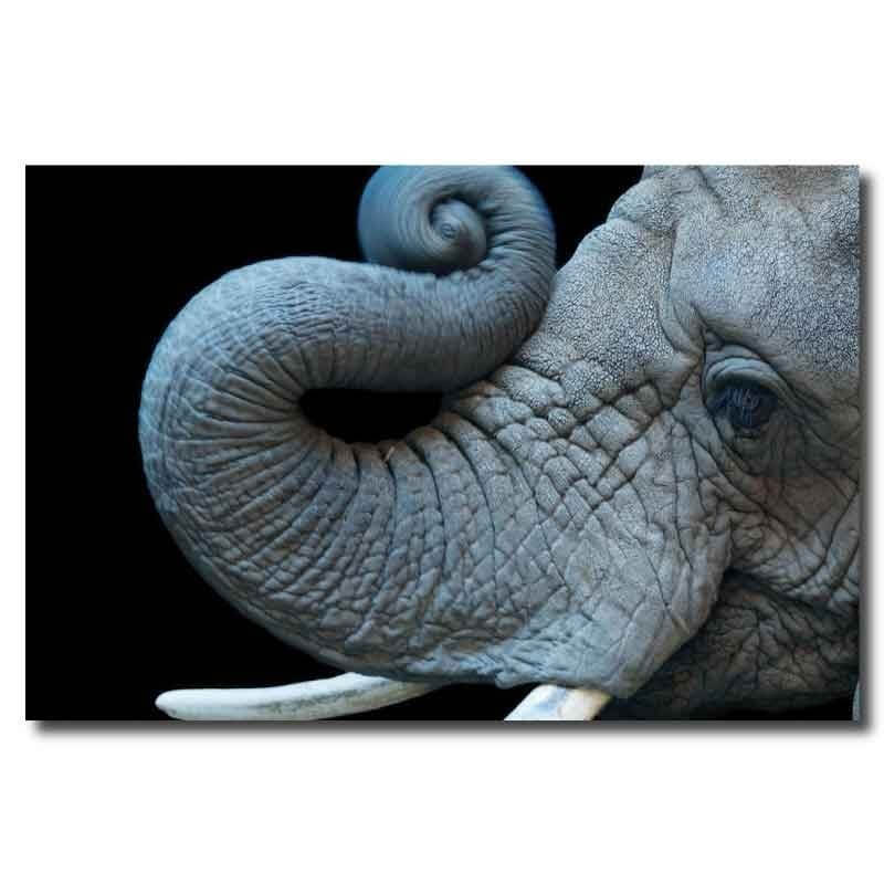 Πίνακας σε καμβά  με Ελέφαντα