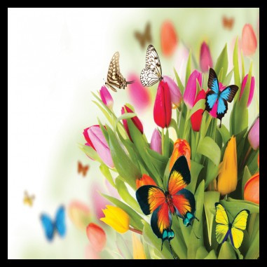 Πίνακας σε καμβά με πεταλούδες