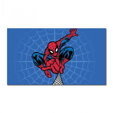 Πίνακας σε καμβά με Spiderman