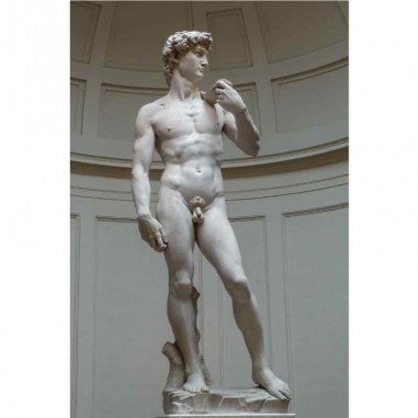 Πίνακας σε καμβά MichelAngelo Buonarroti - David