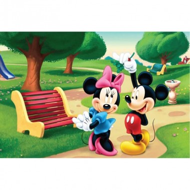 Πίνακας σε καμβά Mickey και Minnie