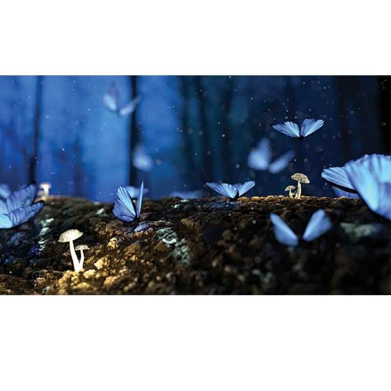 πίνακας σε καμβά μπλε πεταλούδες