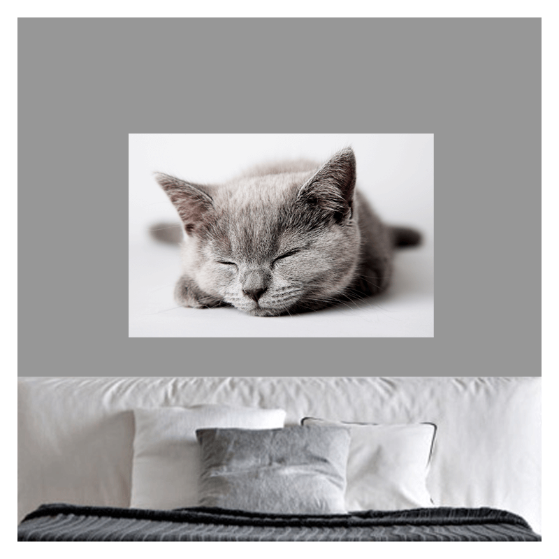 Πίνακας σε καμβά sleepy cat