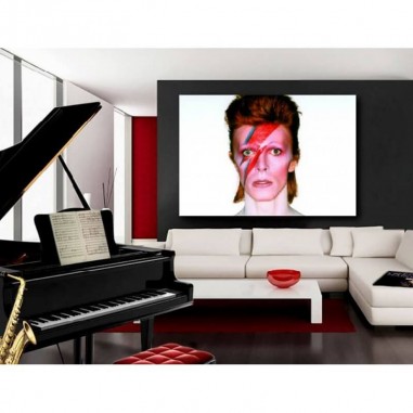 Πίνακας σε καμβά του David Bowie Portrait