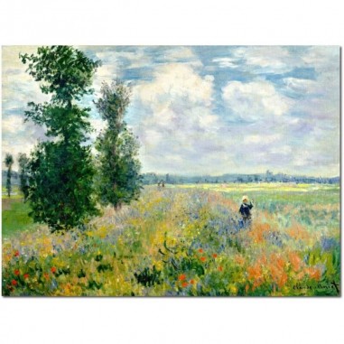 Πίνακας σε καμβά του Monet poppy field