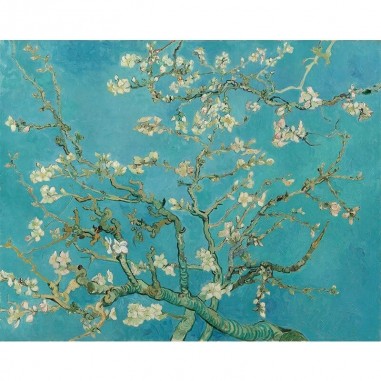 Πίνακας σε καμβά Van Gogh - Almond Blossom