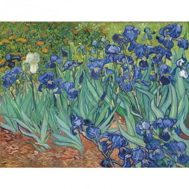 Πίνακας σε καμβά Vincent Van Gogh - Irises