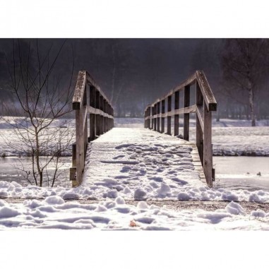 Πίνακας σε καμβά Χιονισμένη γέφυρα