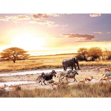 Πίνακας σε καμβά Ζώα της Αφρικής