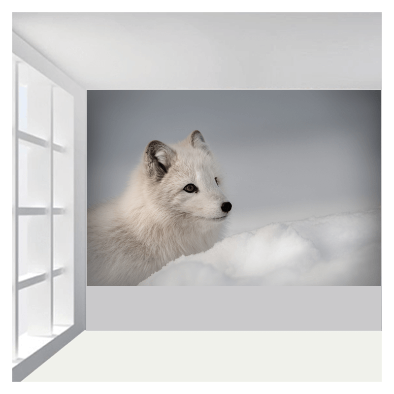 Ταπετσαρία τοίχου Άσπρος λύκος