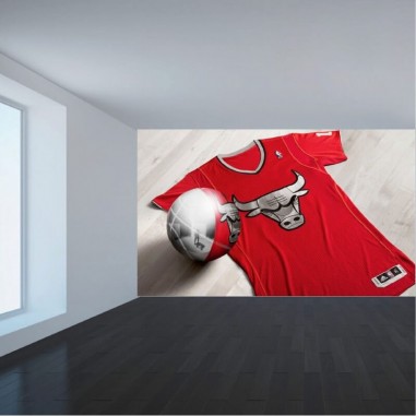 Ταπετσαρία τοίχου  Chicago Bulls