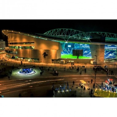 Ταπετσαρία τοίχου Dragao stadium Εξωτερική όψη