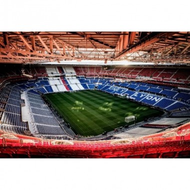 Ταπετσαρία τοίχου Le nouveau stadium Lyon