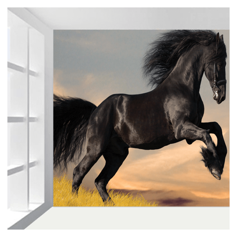 Ταπετσαρία τοίχου Μαύρο άλογο