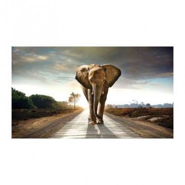 Ταπετσαρία τοίχου με ελέφαντα