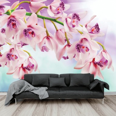 Ταπετσαρία τοίχου με το Pink_Orchids