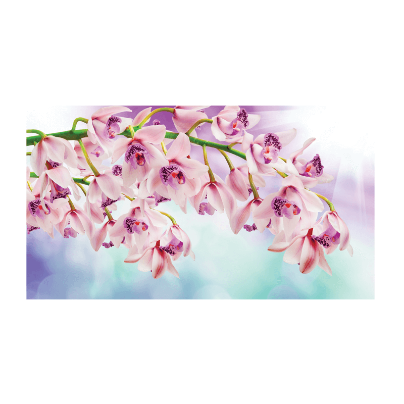 Ταπετσαρία τοίχου με το Pink_Orchids