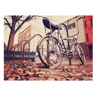 Ταπετσαρία τοίχου Με Vintage Bicycle