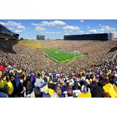 Ταπετσαρία τοίχου Michigan Stadium