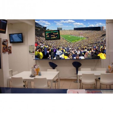 Ταπετσαρία τοίχου Michigan Stadium