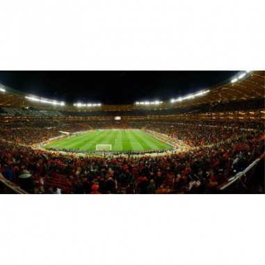 Ταπετσαρία τοίχου Olympic Stadium Roma