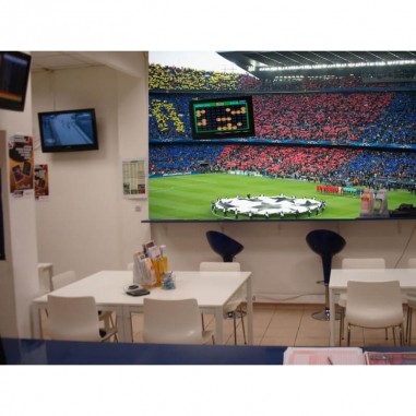 Ταπετσαρία τοίχου UEFA Stadium