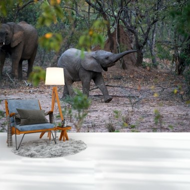 Ταπετσαρία τοίχου  Elephant