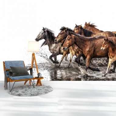 Ταπετσαρία τοίχου  Horses