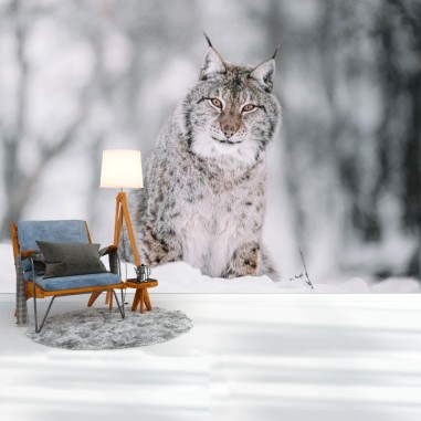 Ταπετσαρία τοίχου  Lynx